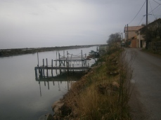 Canal Rhone Sete Aresqiuers.JPG
